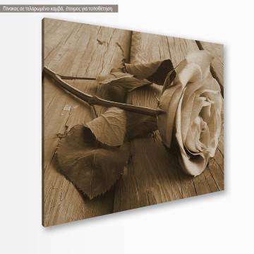 Canvas print  Rose on wood, sepia 2