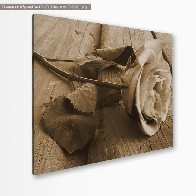 Canvas print  Rose on wood, sepia