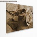 Canvas print  Rose on wood, sepia