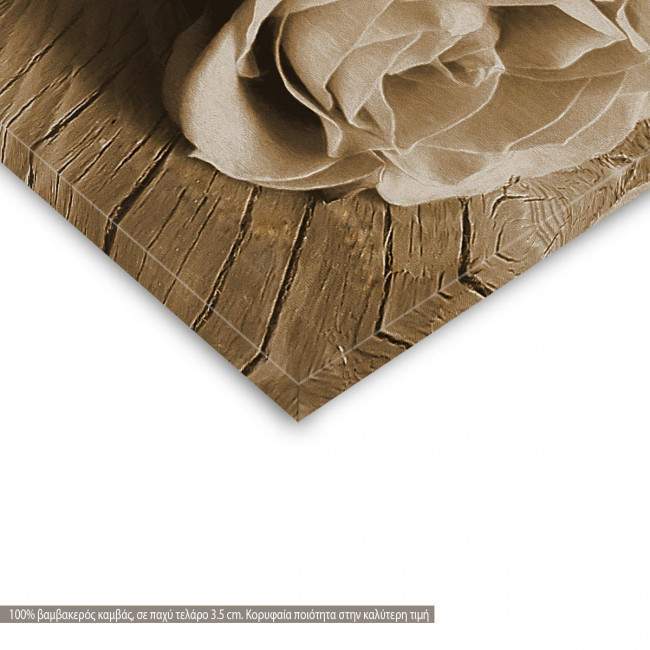 Πίνακας σε καμβά Rose on wood, sepia, λεπτομέρεια