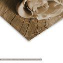 Canvas print  Rose on wood, sepia