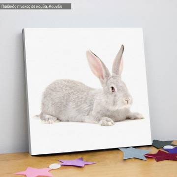 Πίνακας παιδικός σε καμβά  Gray Rabbit