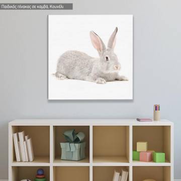 Kids canvas print Gray rabbit 2