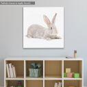 Kids canvas print Gray rabbit