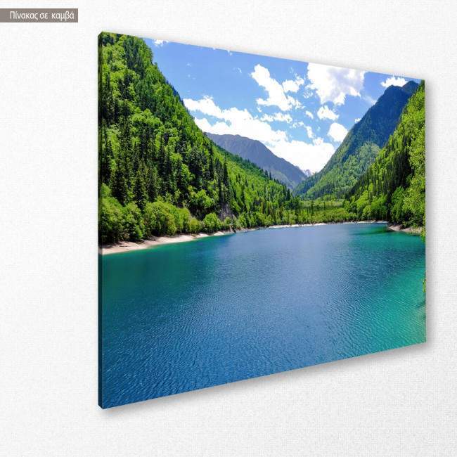 Canvas print Panda lake, side