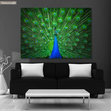 Canvas print Blue peacock