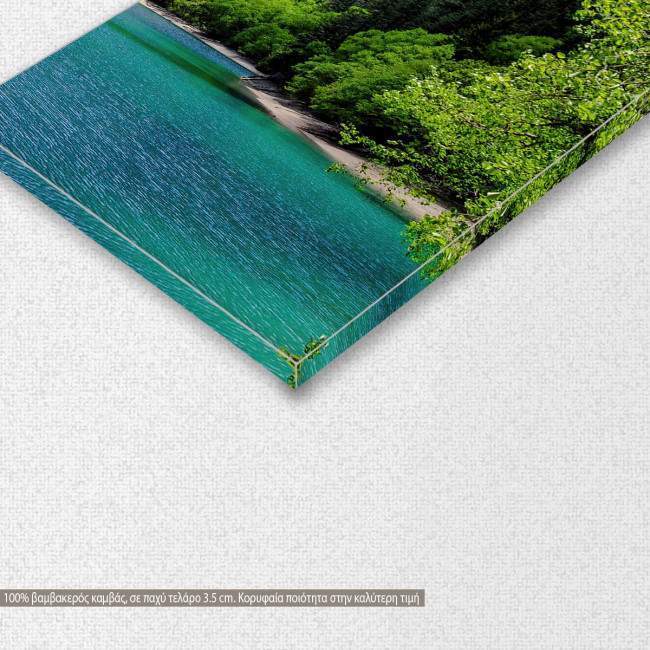 Canvas print Panda lake, detail