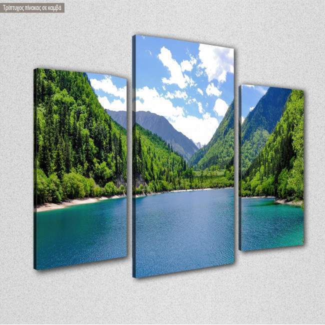 Canvas print Panda lake, side