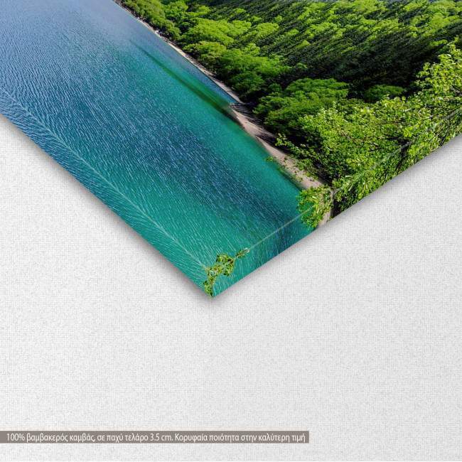 Πίνακας σε καμβά Panda lake, τρίπτυχος ασύμμετρος, λεπτομέρεια