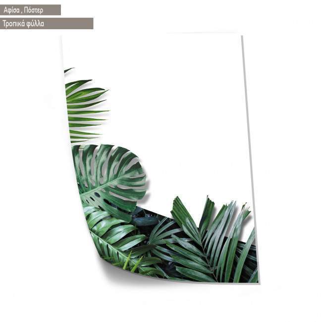 Tropical palm leaves III, αφίσα, πόστερ