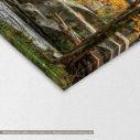 Canvas print Berea falls In autumn,  3 panels, detail