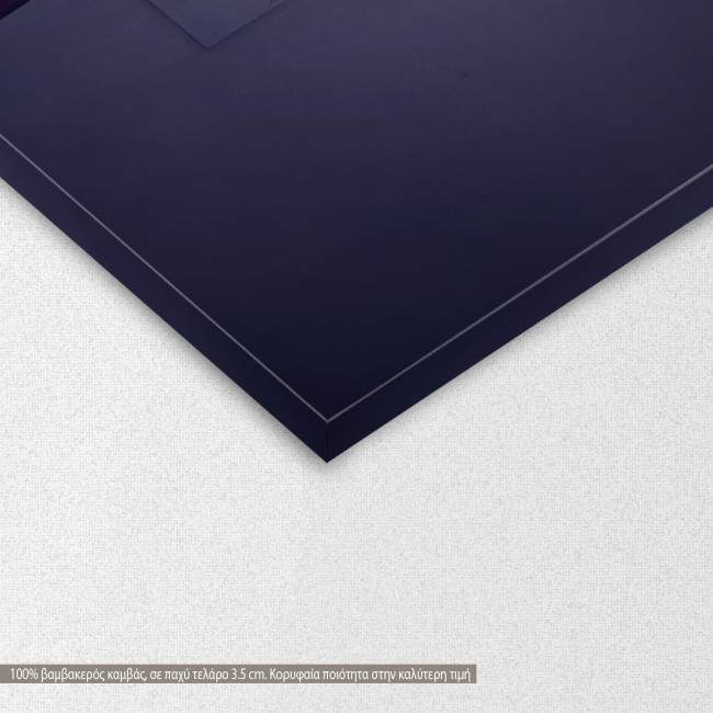 Canvas print Under the moonlight,  3 panels, detail