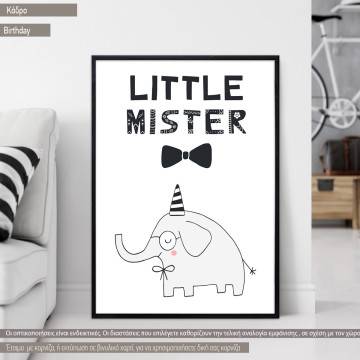 Little Mister,poster