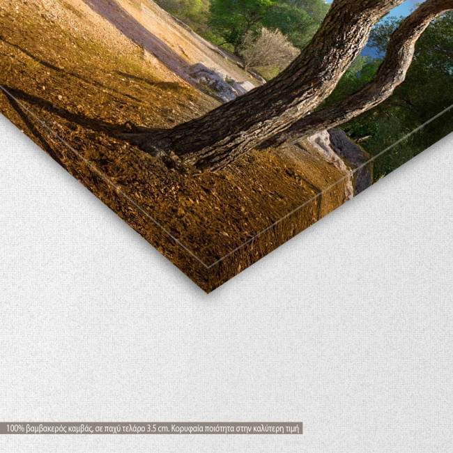 Canvas print View of the Acropolis, two panels, detail