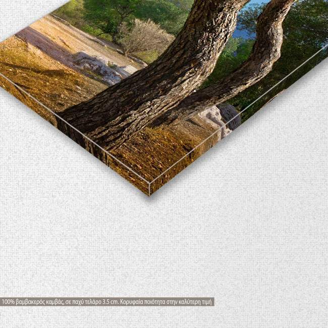 Canvas print View of the Acropolis, four panels, detail