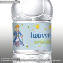 Αυτοκόλλητη ετικέτα Petit prince  με όνομα και ημερομηνία