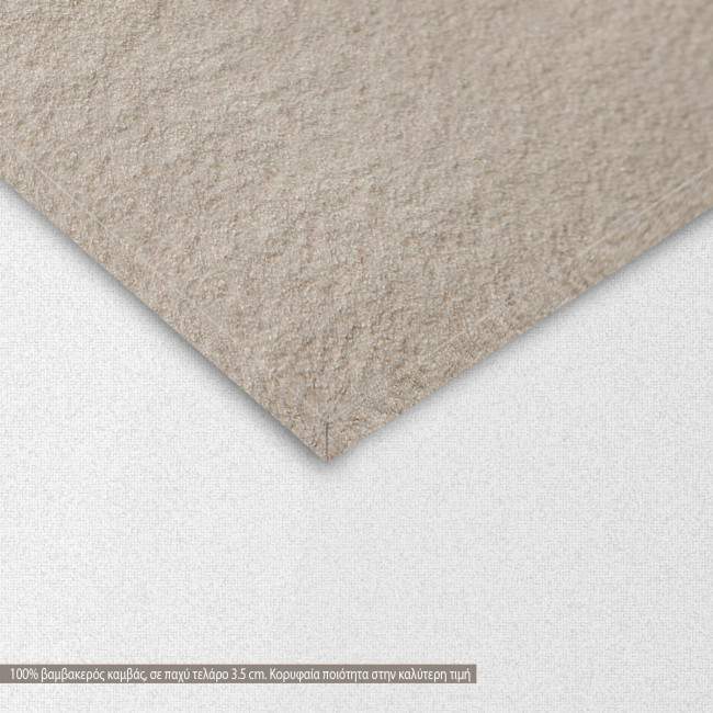 Canvas print Zen butterfly II, two panels, detail