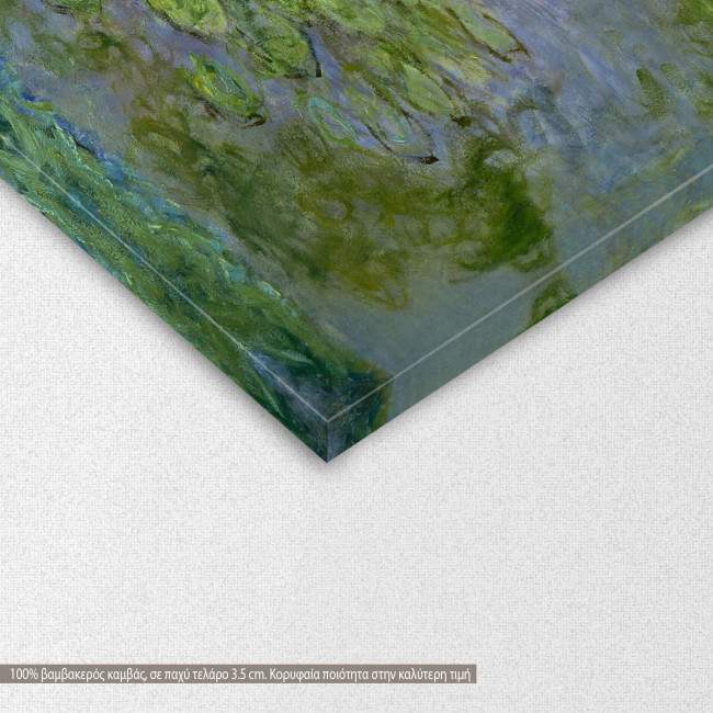Canvas print Nympheas waterlilies, Monet C, detail