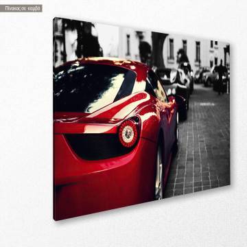 Canvas print Red beauty 2