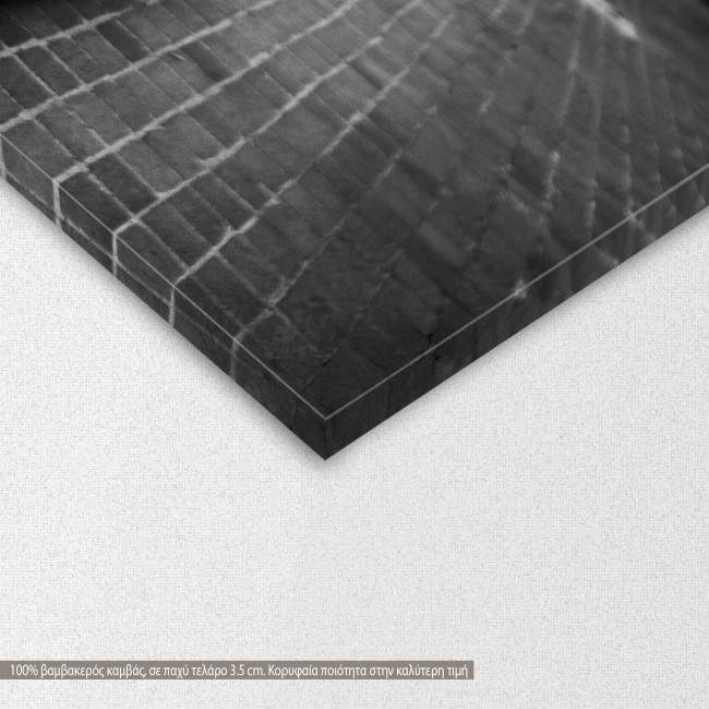 Canvas print Red beauty, detail