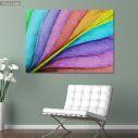 Canvas print Soul colours