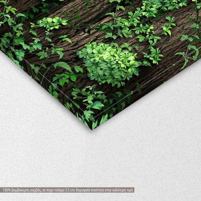 Πίνακας σε καμβά Χάρτης, Leafed world map, λεπτομέρεια