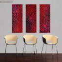 Canvas print Acrylic red on black, 3 panels