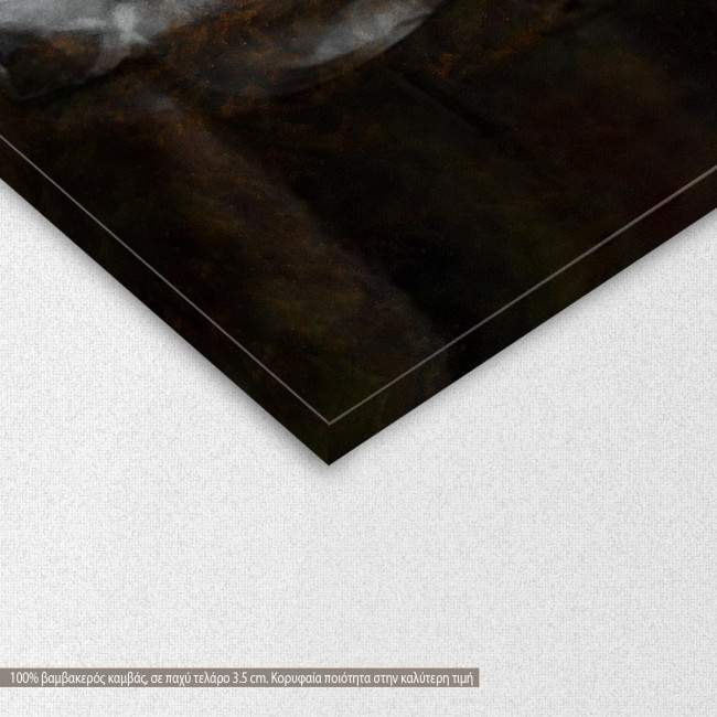 Canvas print All star ballet, detail