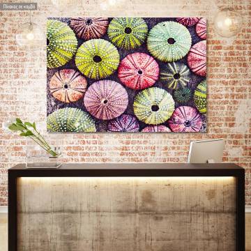 Canvas print Colorful urchins painting
