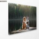 Canvas print Dog friendship, side