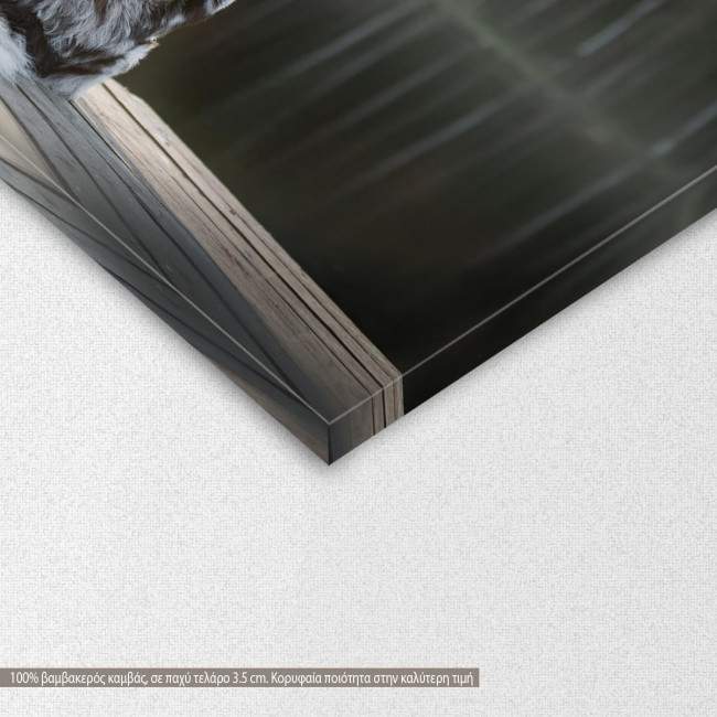 Πίνακας σε καμβά Dog friendship, λεπτομέρεια