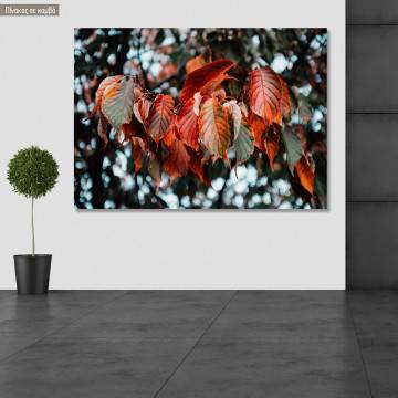 Canvas print Red leafs I