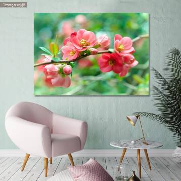 Πίνακας σε καμβά Άνθη άνοιξης, Spring blossoms
