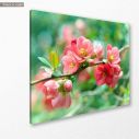 Canvas print Spring blossoms, side