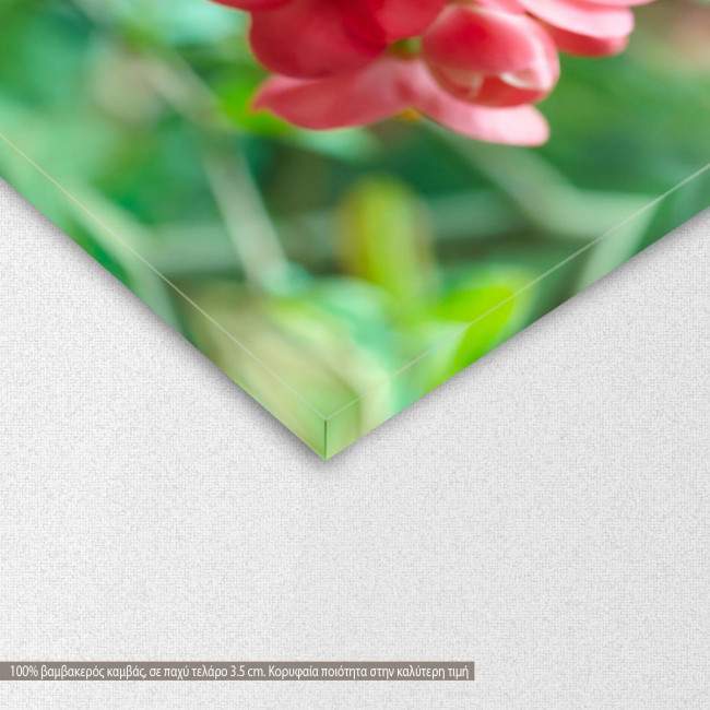 Πίνακας σε καμβά Άνθη άνοιξης, Spring blossoms, λεπτομέρεια