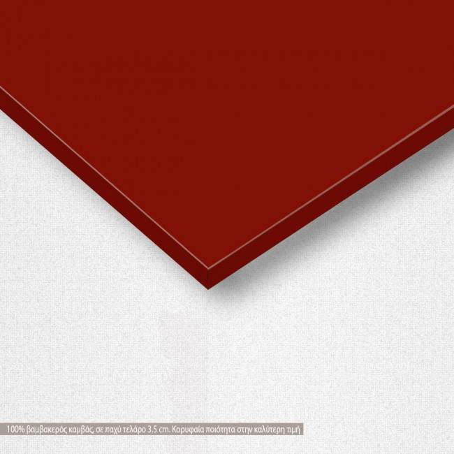 Canvas print The lady with an ermine reart (original Da Vinci), detail