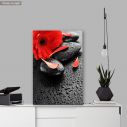 Canvas print spa stones & red flower