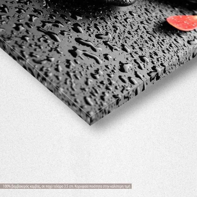 Canvas print spa stones & red flower, detail