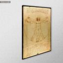Πίνακας ζωγραφικής The vitruvian man by Leonardo da Vinci, αντίγραφο σε καμβά, κοντινό