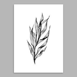 Branches IV Poster  Poster with black frame View 1 2