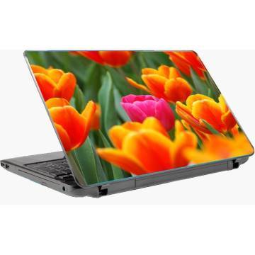 Pink tulip αυτοκόλλητο laptop