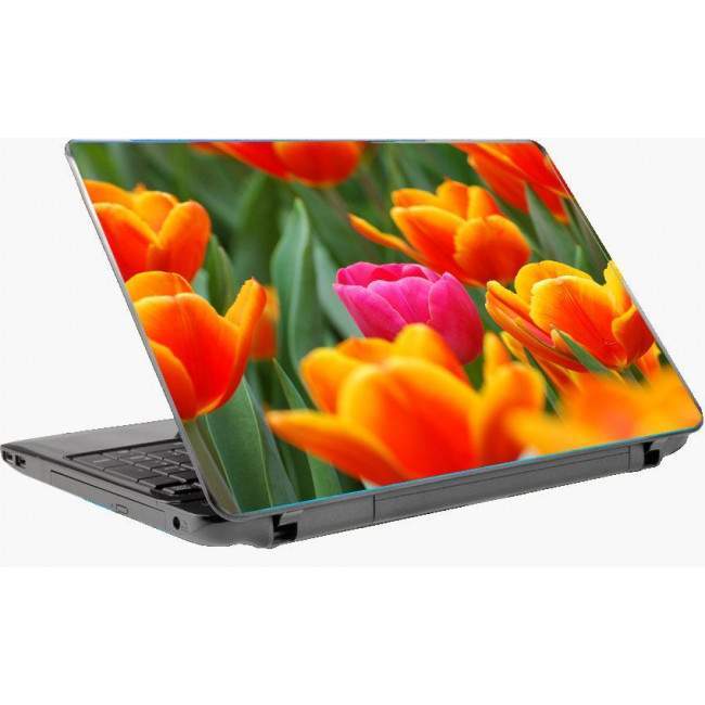 Pink tulip Laptop skin 