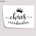 Poster Chaos coordinator