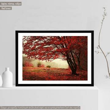 Red forest, κάδρο, μαύρη κορνίζα