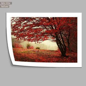 Red forest, κάδρο, μαύρη κορνίζα 2