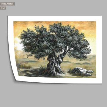 Olive tree, Black Frame 2
