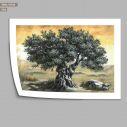 Olive tree, Poster