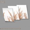 Canvas print Dry reeds boho style  3 panels