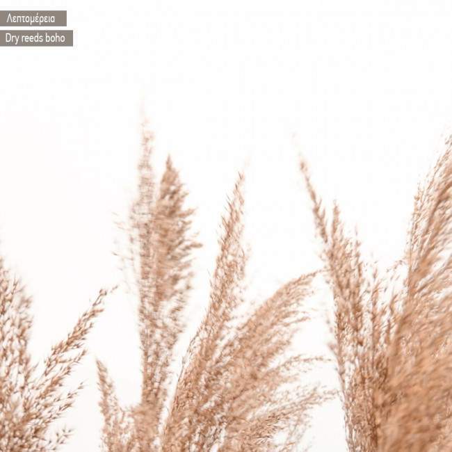 Canvas print Dry reeds boho style  3 panels