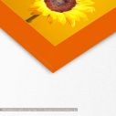 Canvas print  Sunflower instances, detail